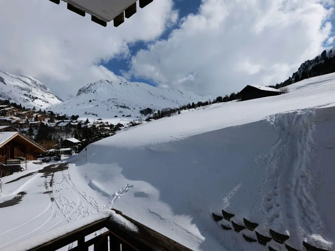 Location de Vacances Le Grand-Bornand 445