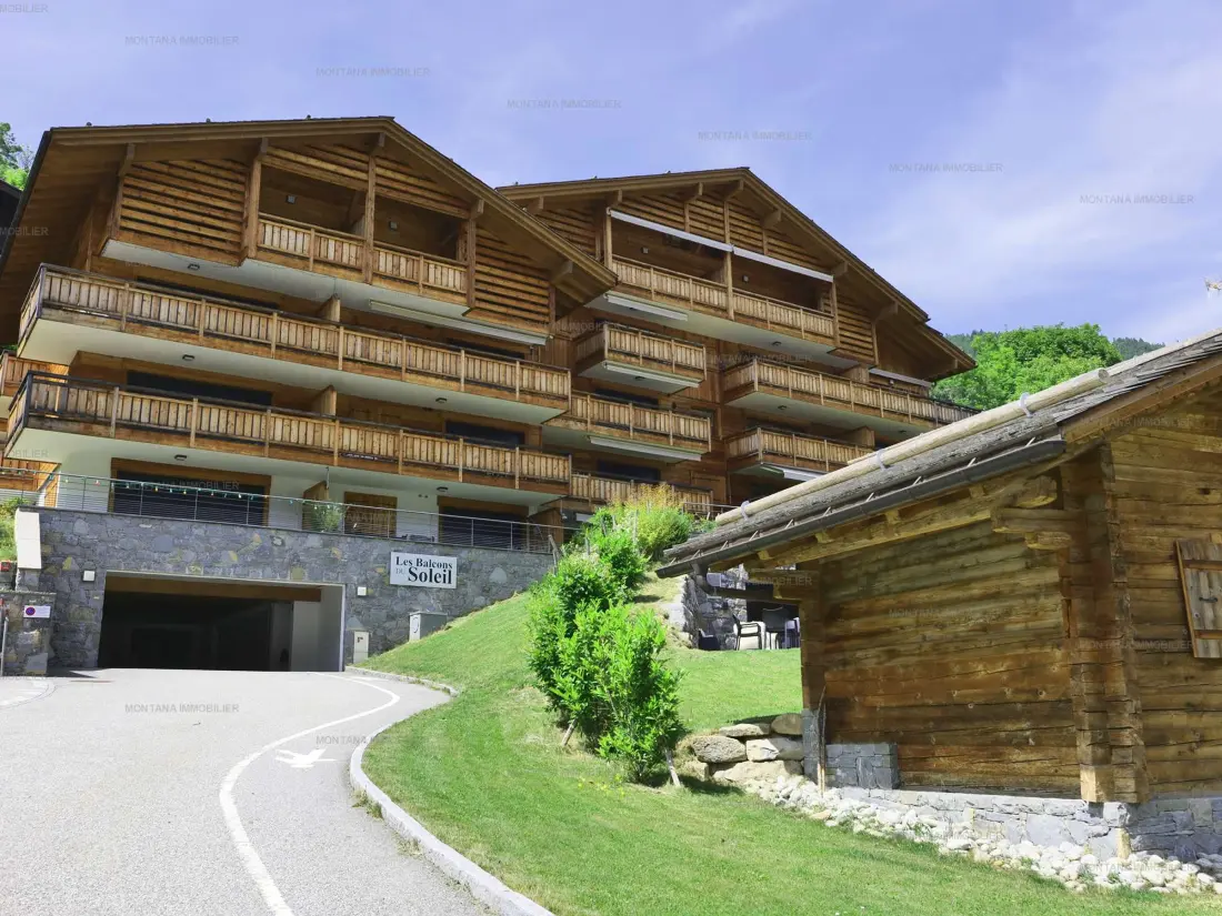 Location de Vacances Le Grand-Bornand 446