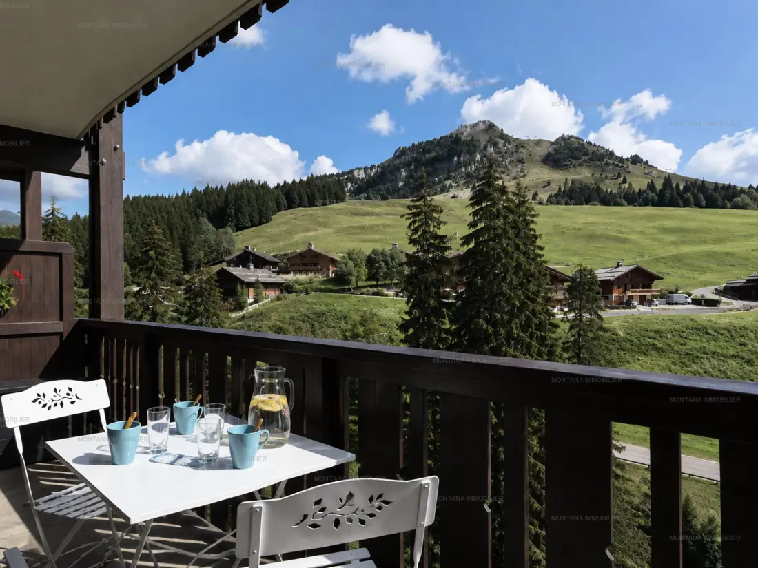 Location de Vacances Le Grand-Bornand 450