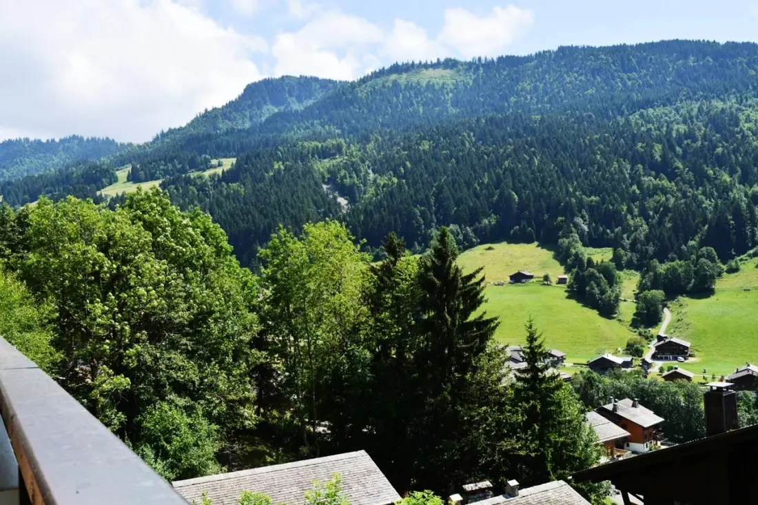 Résidence Belvedere 4