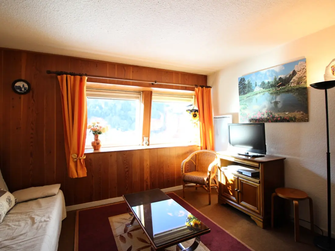 Location de Vacances Mont-Dore 381
