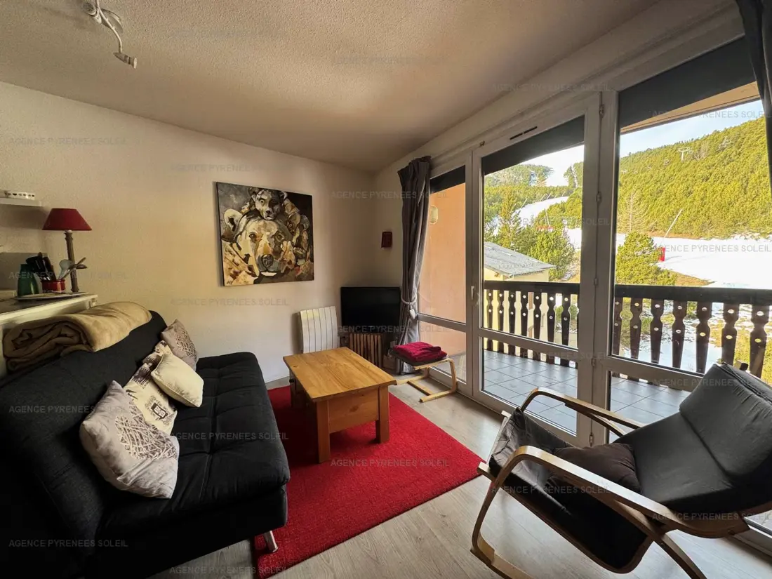 Location de Vacances Les Angles 109