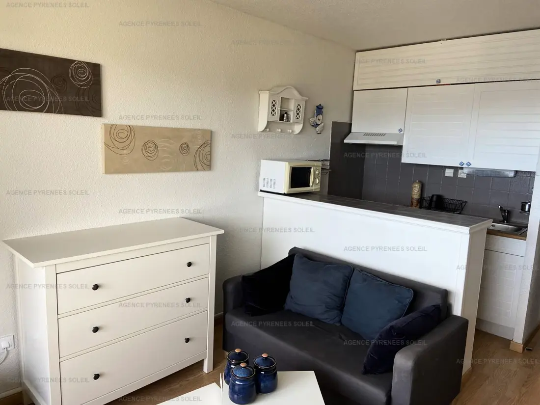 Location de Vacances Les Angles 136