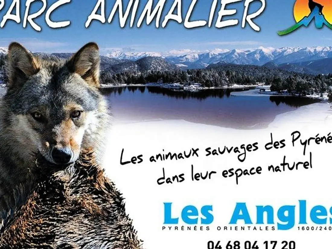 Location de Vacances Les Angles 185