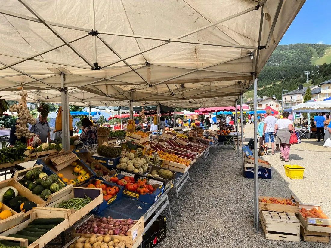 Location de Vacances Les Angles 228