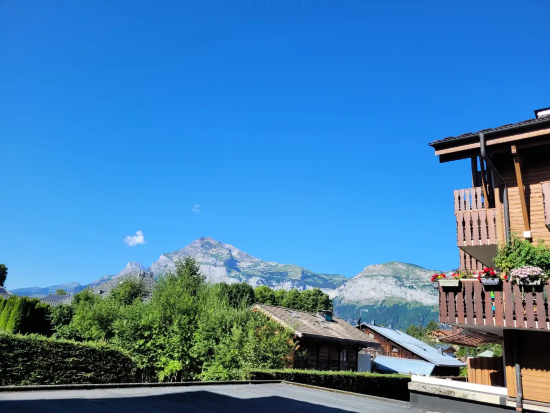 Location de Vacances Les Carroz d'Arâches 131