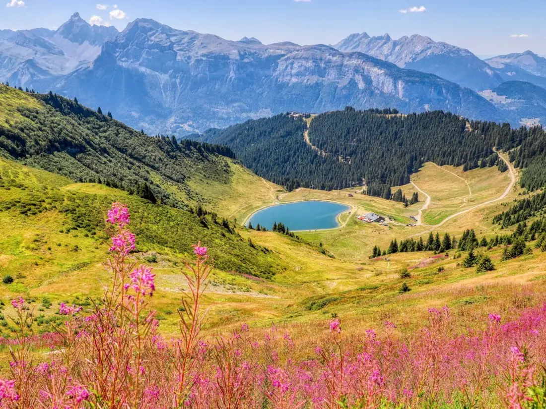 Location de Vacances Les Carroz d'Arâches 132