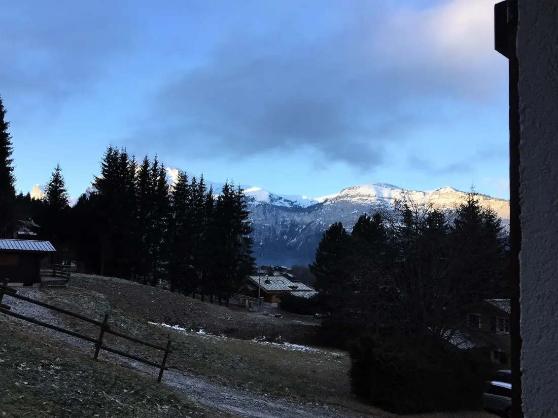 Location de Vacances Les Carroz d'Arâches 146