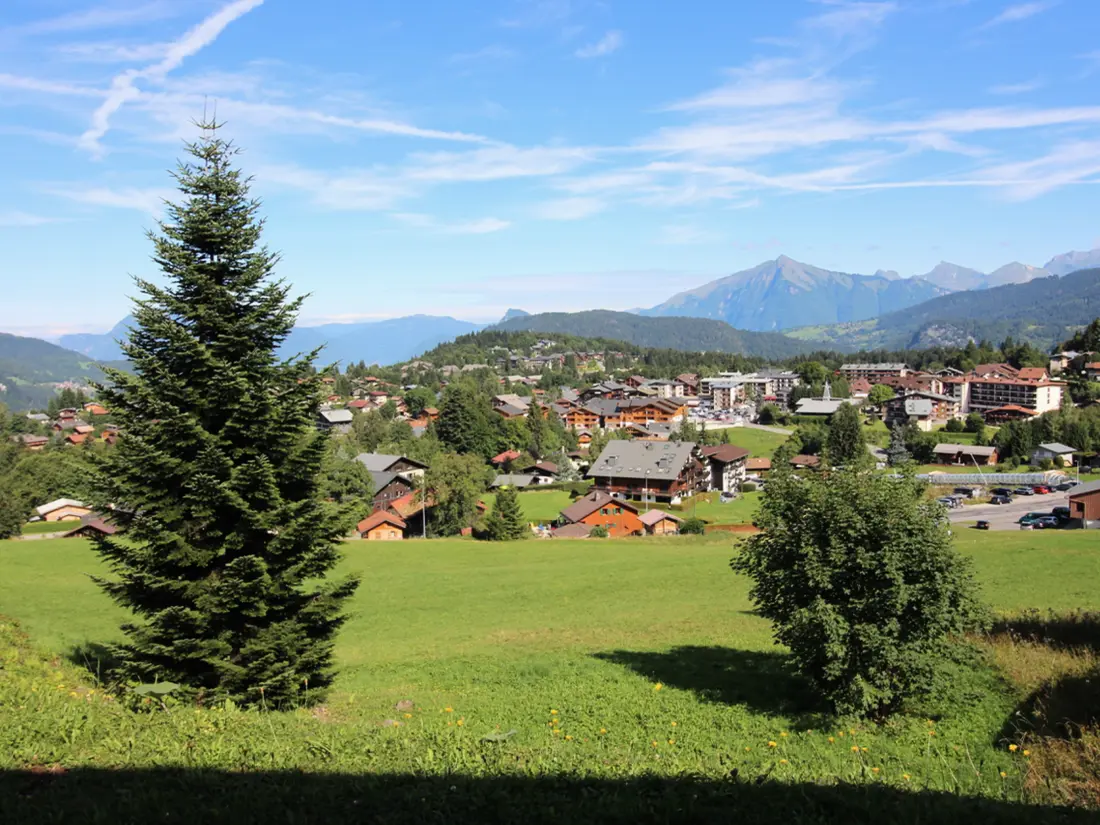 Location de Vacances Les Carroz d'Arâches 147