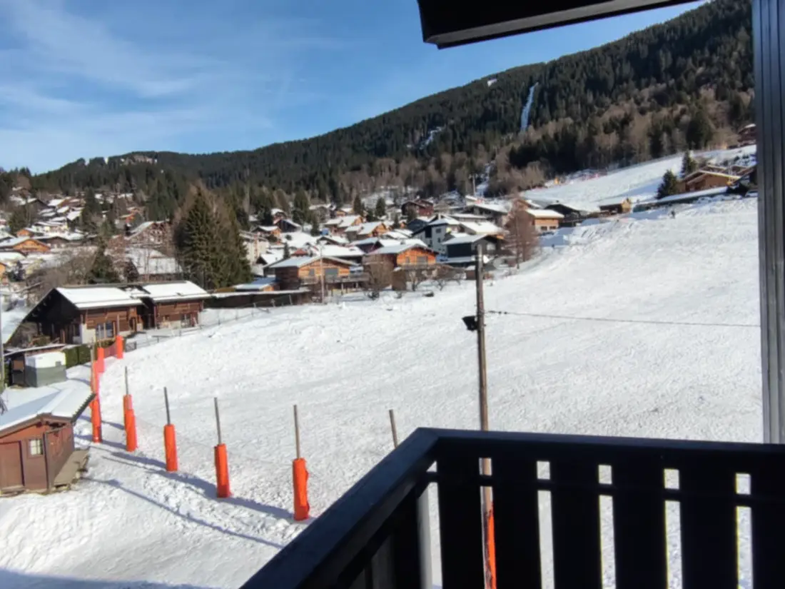 Location de Vacances Les Carroz d'Arâches 183