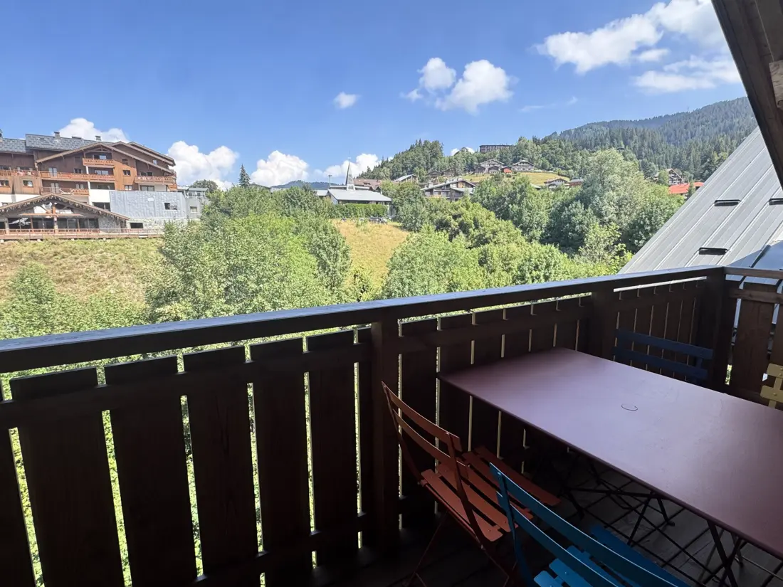 Location de Vacances Les Carroz d'Arâches 191