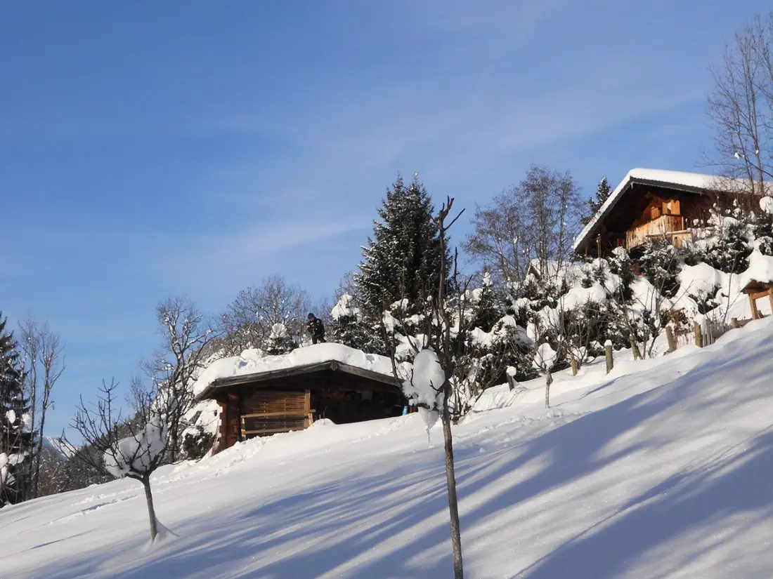 Maison de Vacances Les Carroz d'Arâches 138