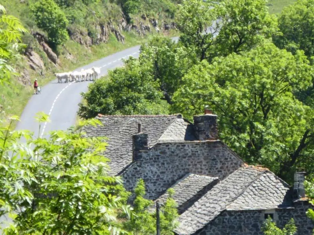 Maison de Vacances Les Estables 3