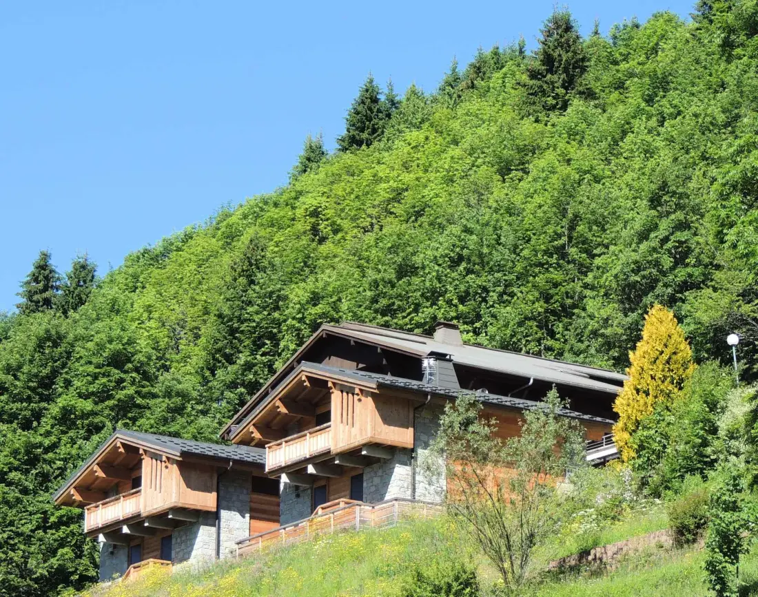 Chalets Chantemerle