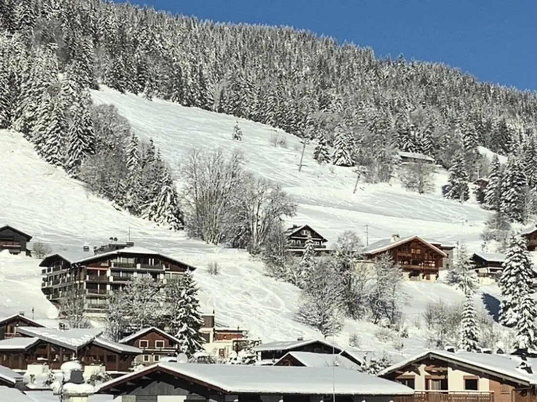 Location de Vacances Les Gets 187
