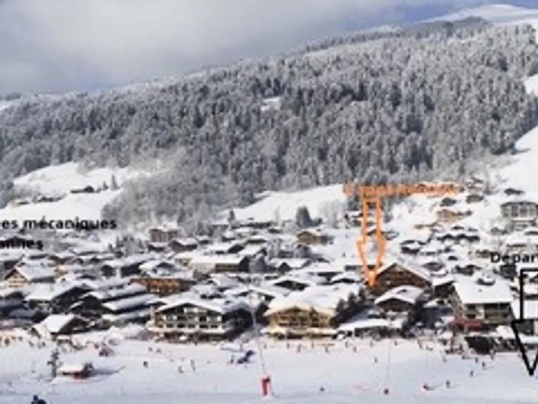 Location de Vacances Les Gets 350