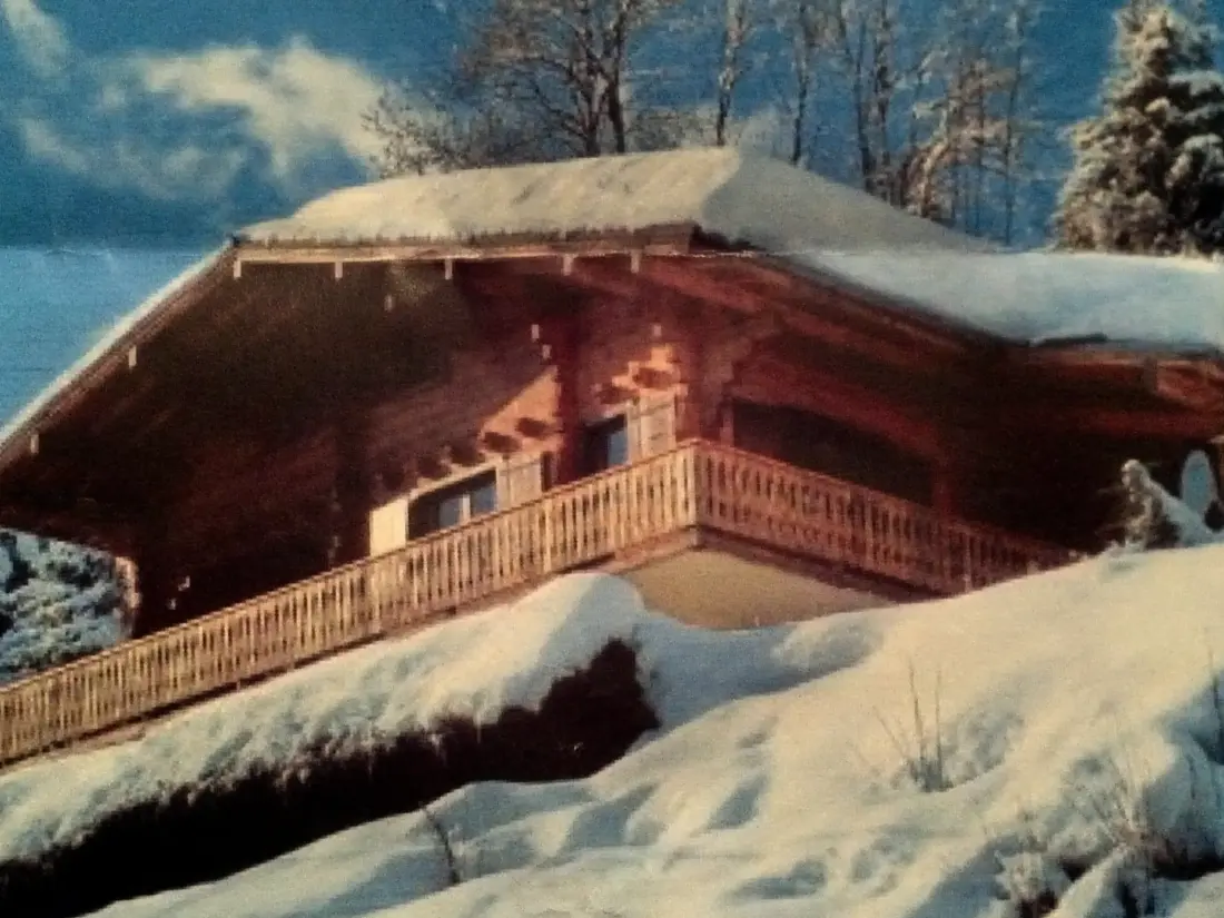 Location de Vacances Les Gets 588