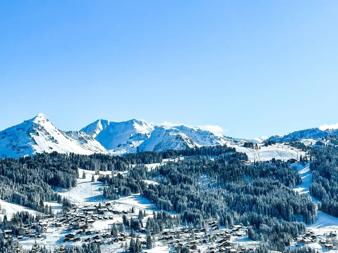 Location de Vacances Les Gets 786