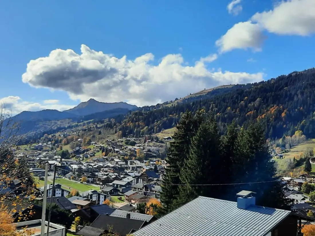 Location de Vacances Les Gets 874