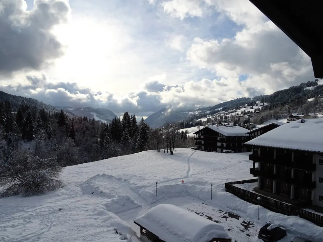 Location de Vacances Les Gets 875
