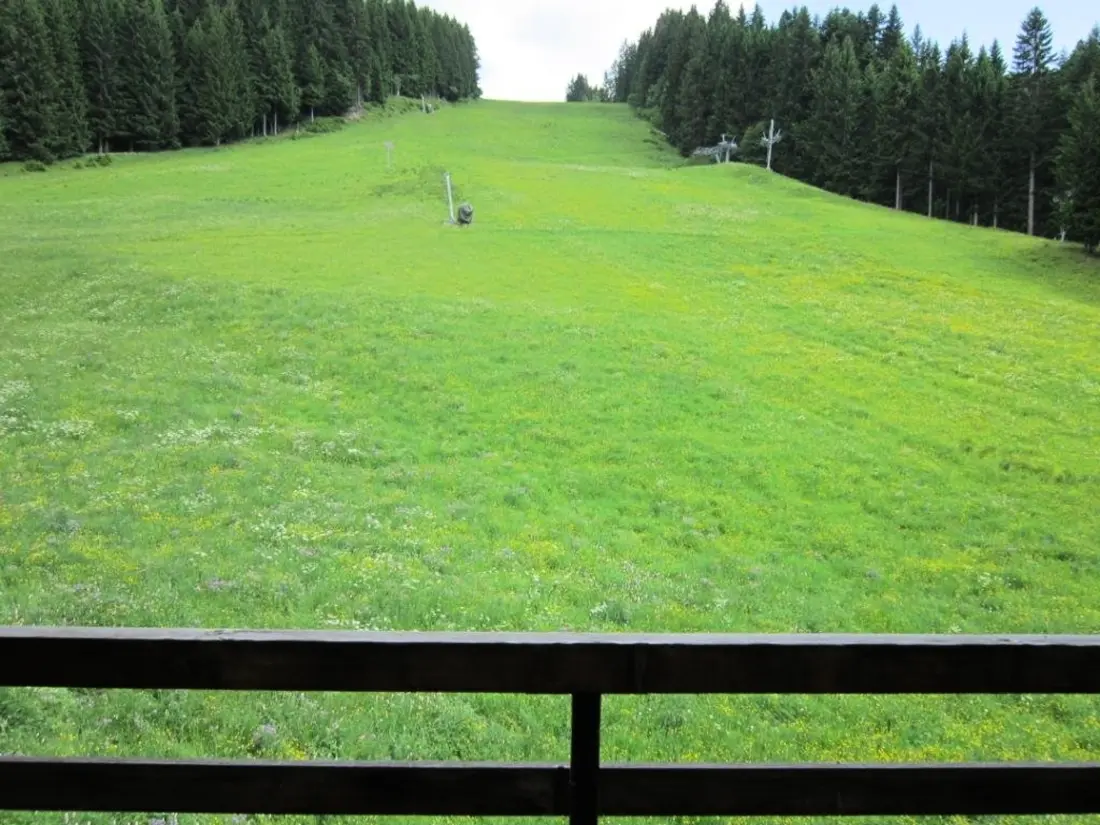 Location de Vacances Les Gets 896