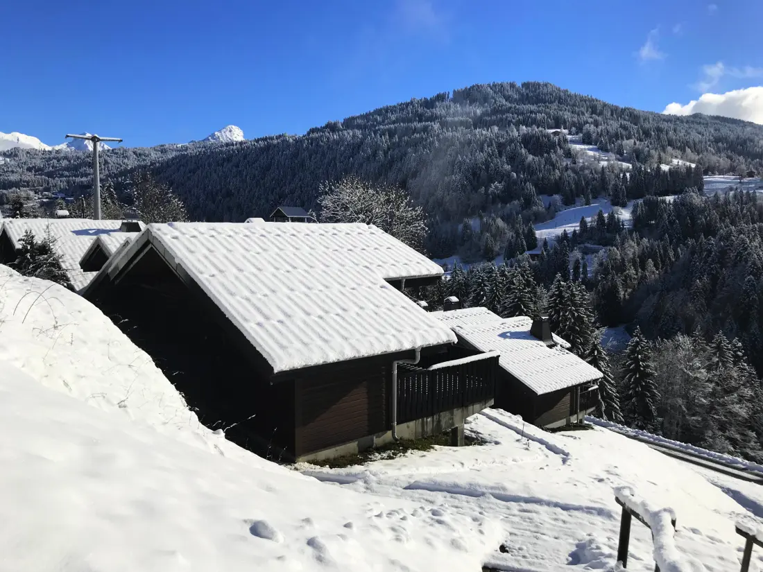 Maison de Vacances Les Gets 568