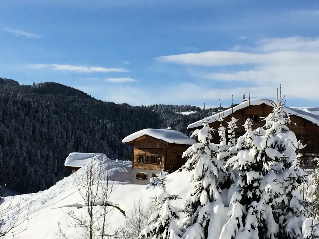 Maison de Vacances Les Gets 611