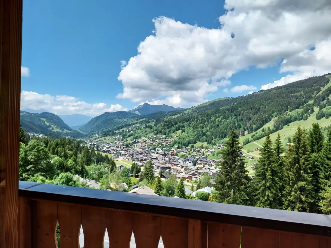 Maison de Vacances Les Gets 991