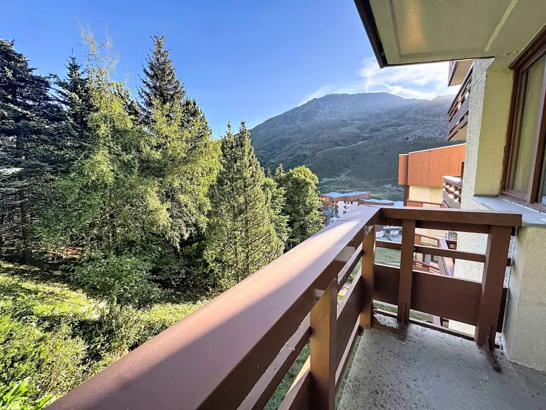 Location de Vacances Les Menuires 493