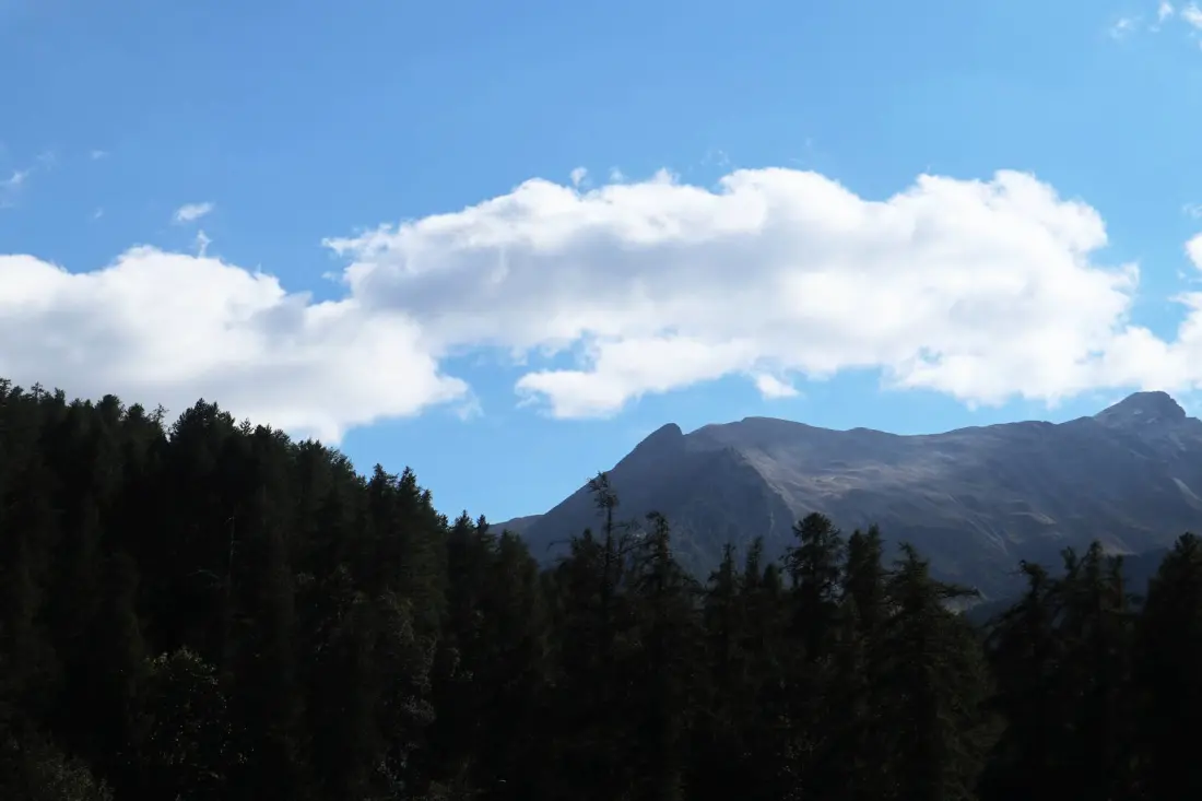 Résidence Orr Des Forets