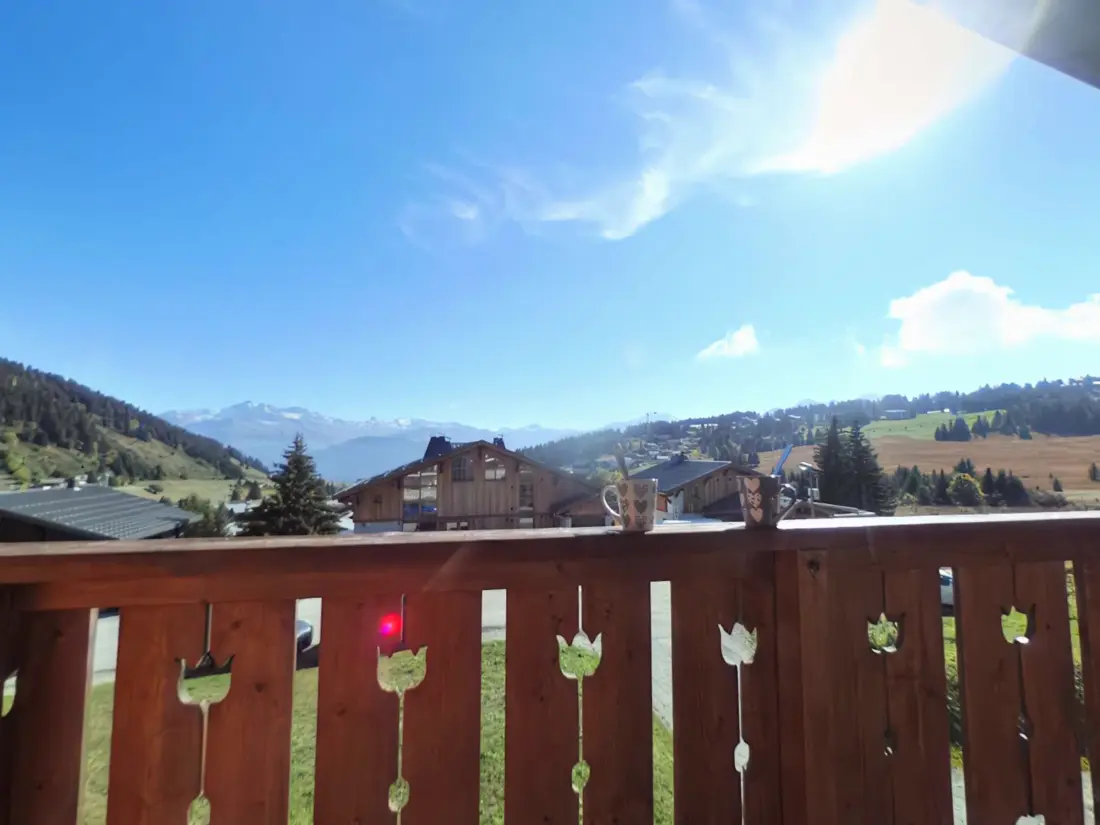 Location de Vacances Les Saisies 379
