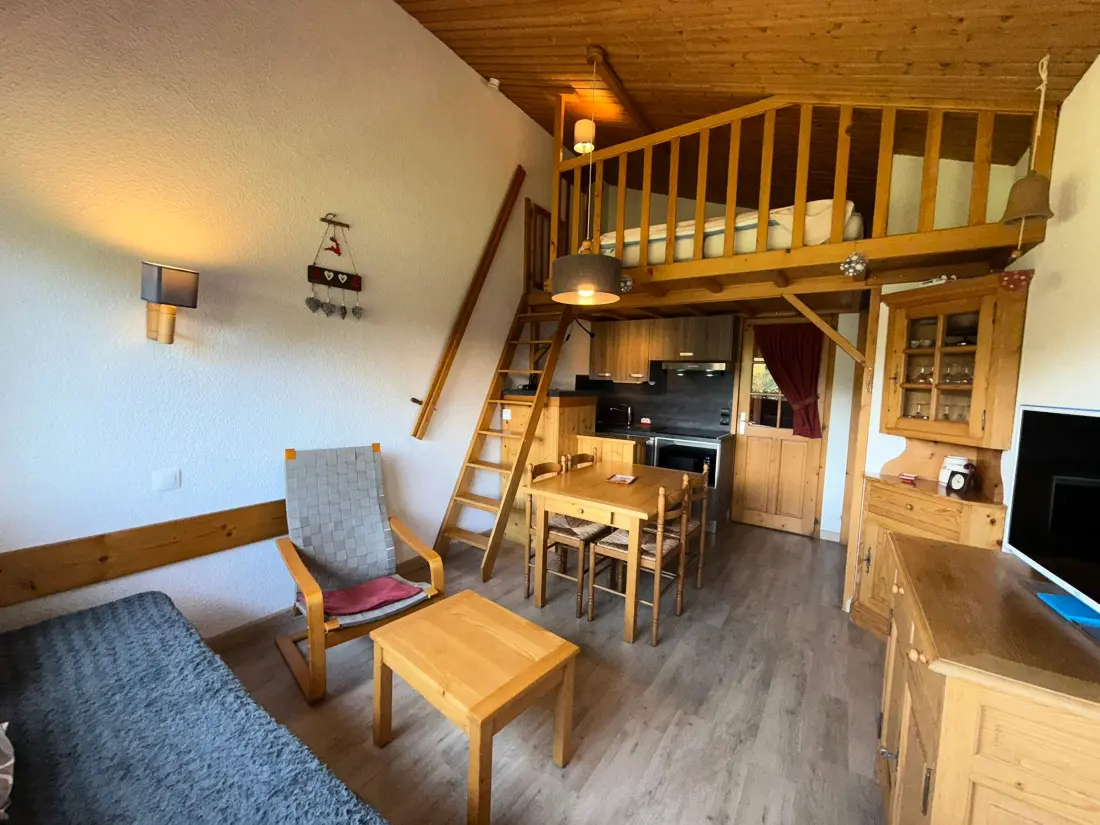 Location de Vacances Les Saisies 481