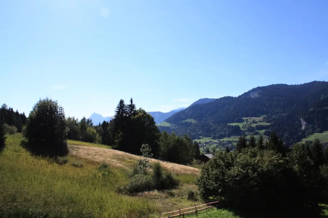 Chalet Lady