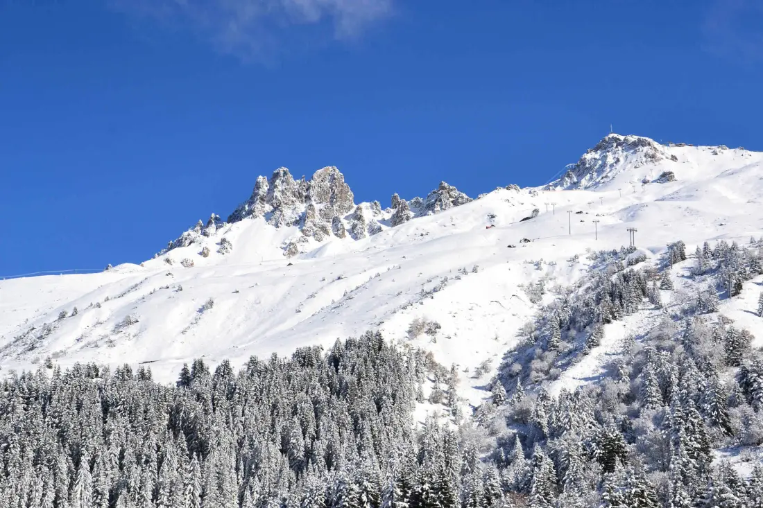 Résidence Alpages Mottaret B