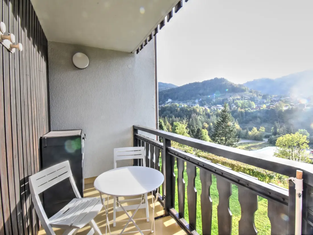 Location de Vacances MONTRIOND 11