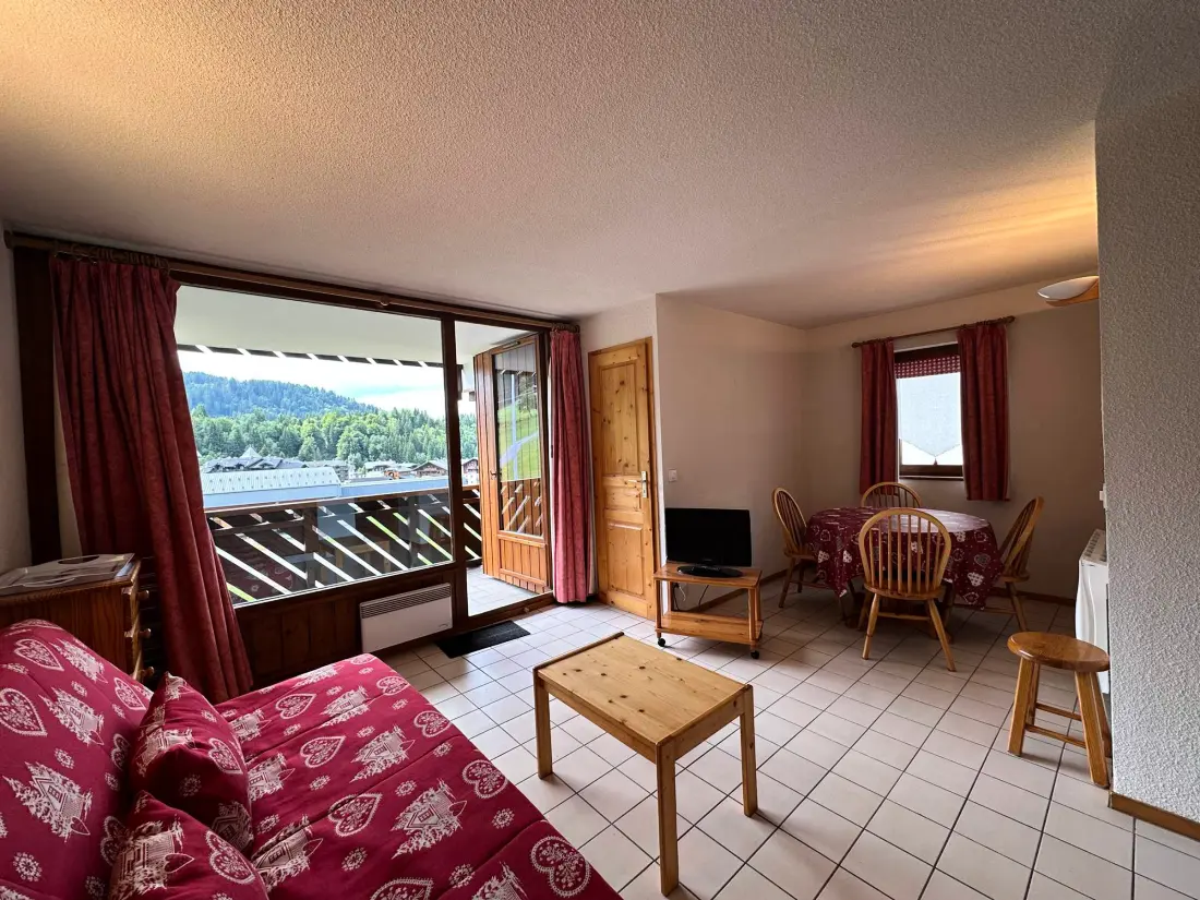 Location de Vacances Morillon 1100 18