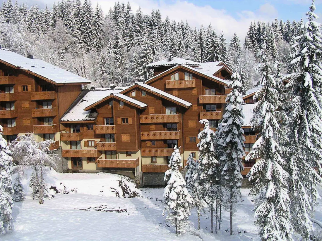 Location de Vacances Morillon 1100 25