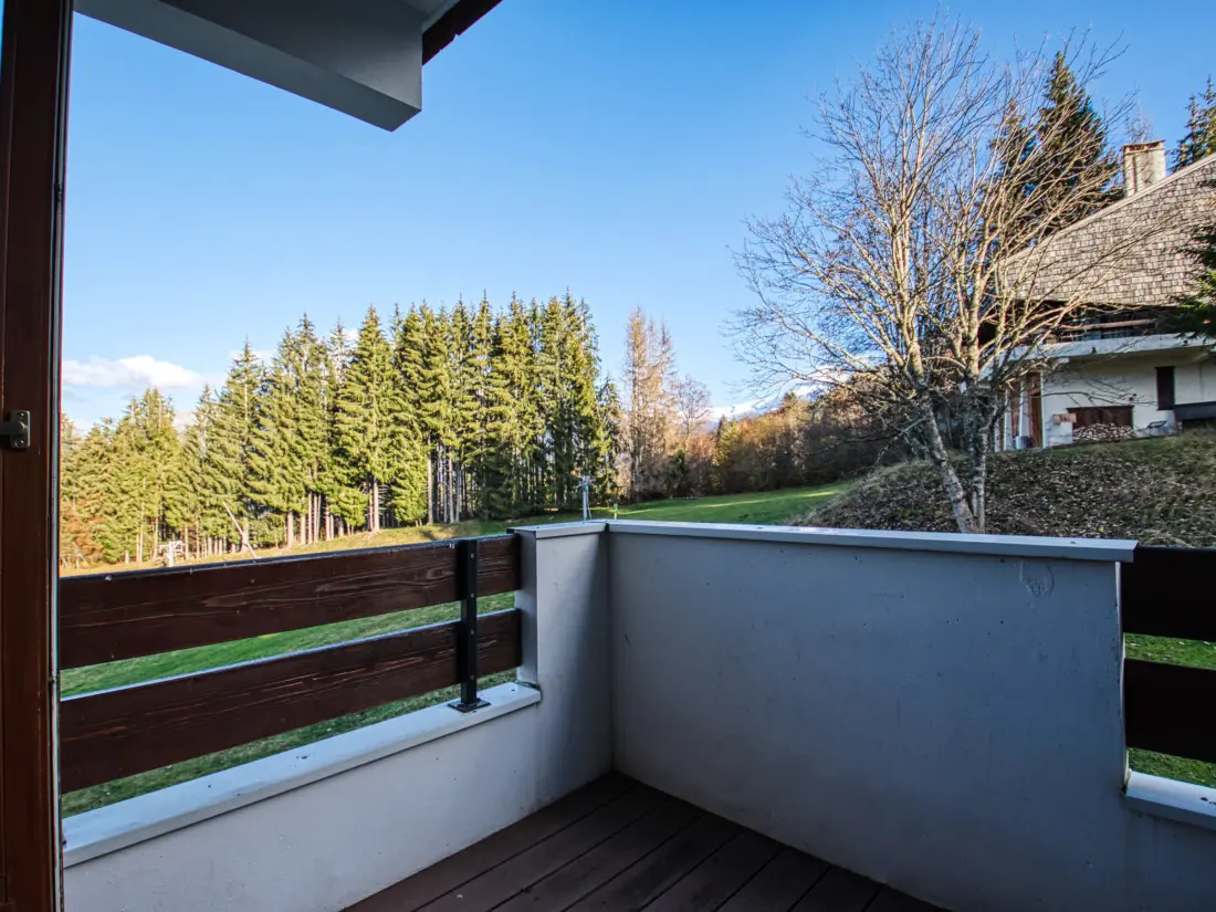 Location de Vacances Morillon 1100 28
