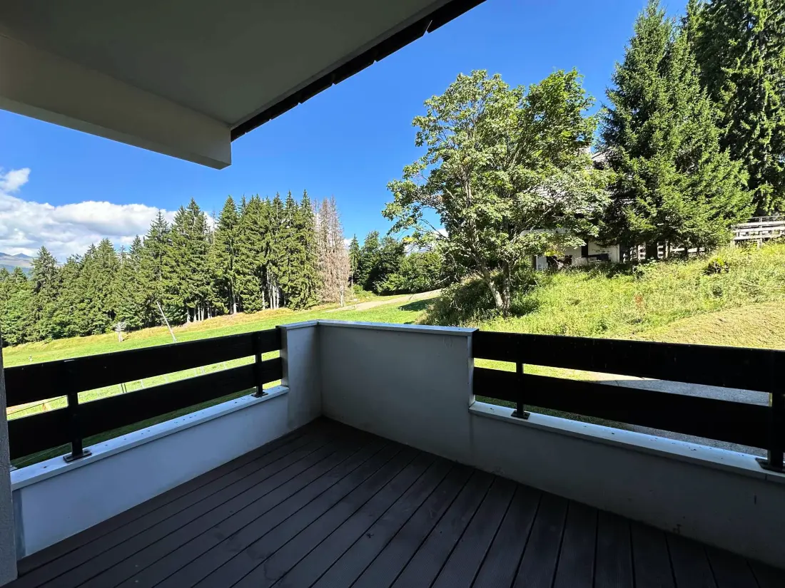 Location de Vacances Morillon 1100 28