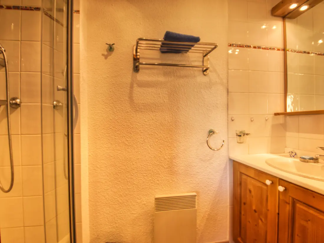 Location de Vacances Morillon 1100 39