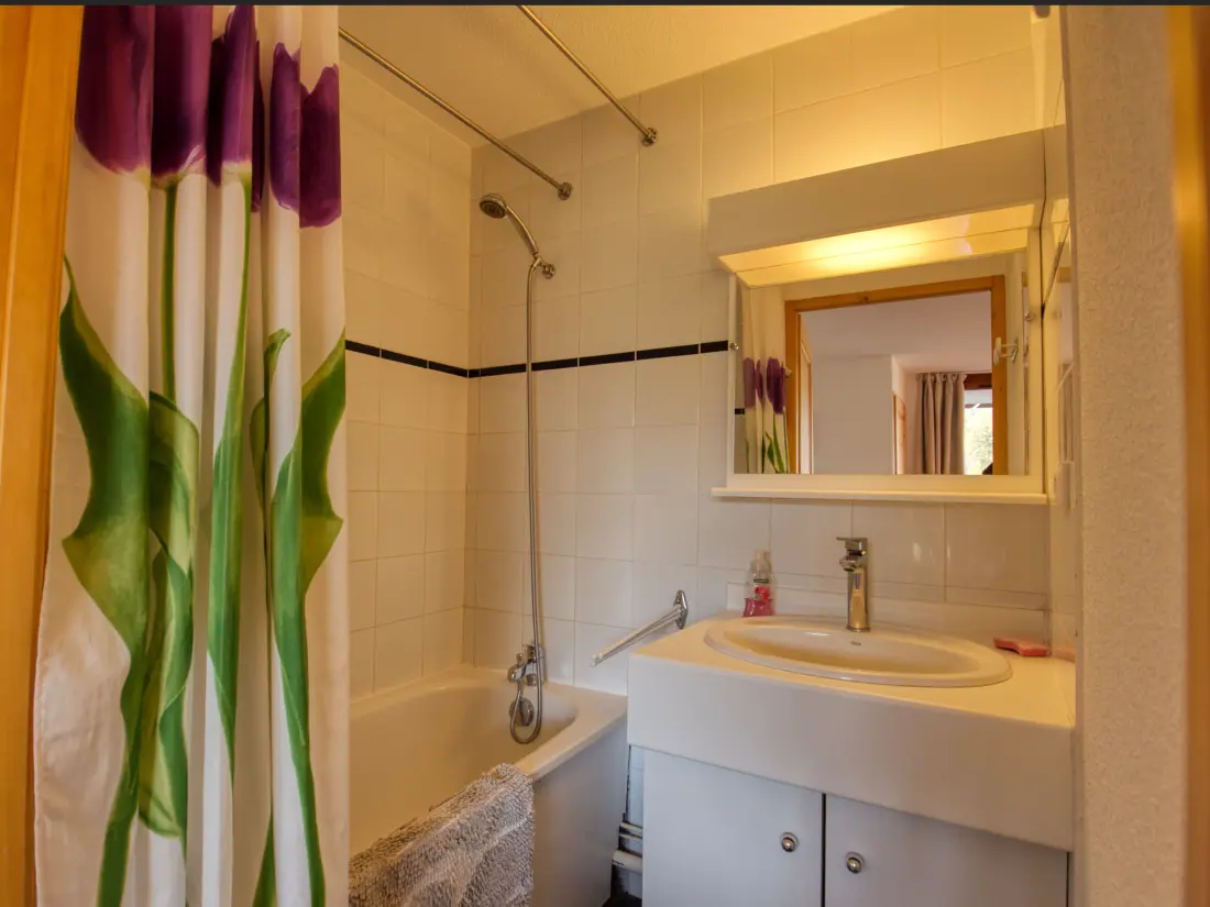 Location de Vacances Morillon 1100 51