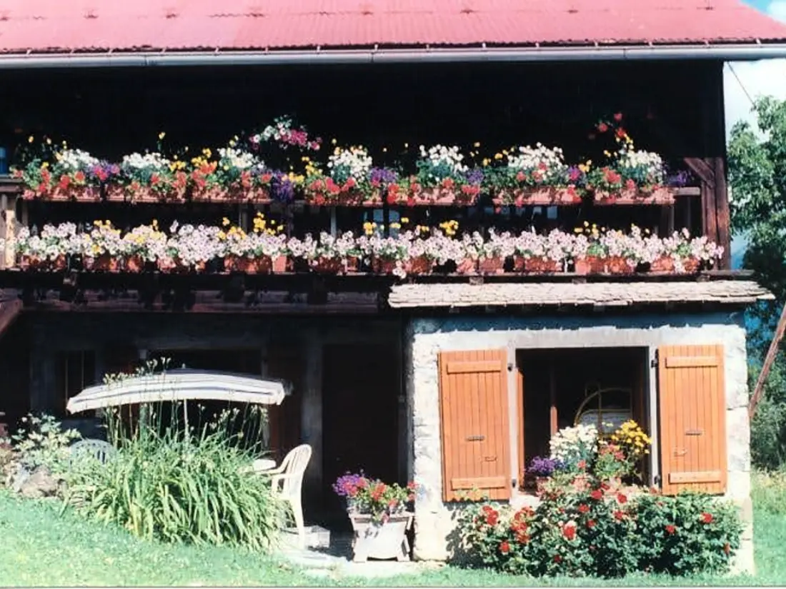 Location de Vacances Morillon Village 11