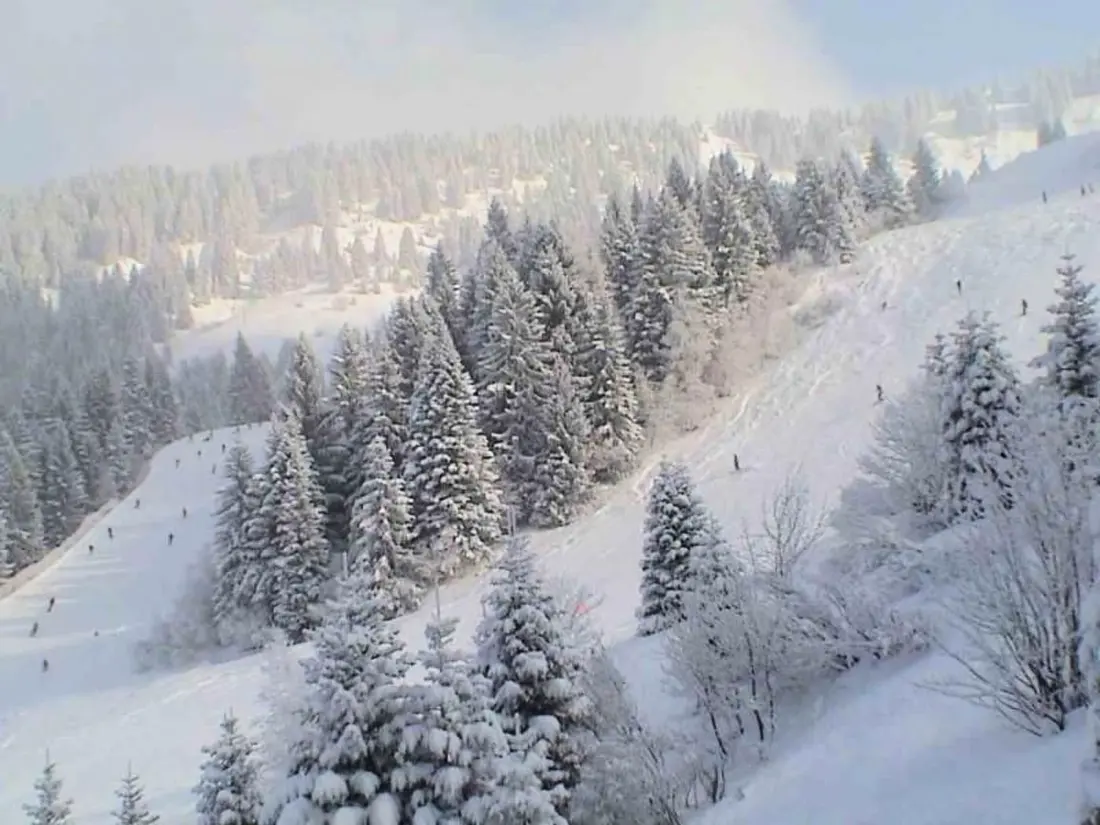Résidence "Jardin Alpin