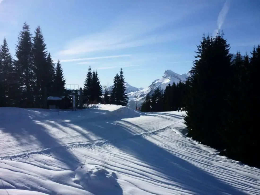 Résidence "Jardin Alpin