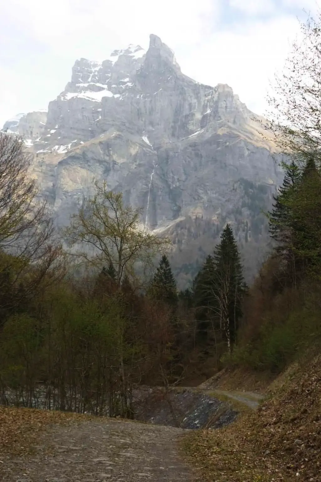 Résidence "Jardin Alpin
