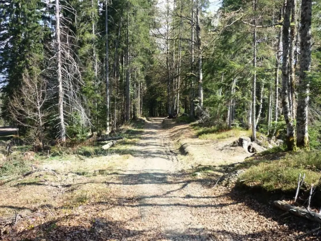 Résidence "Jardin Alpin