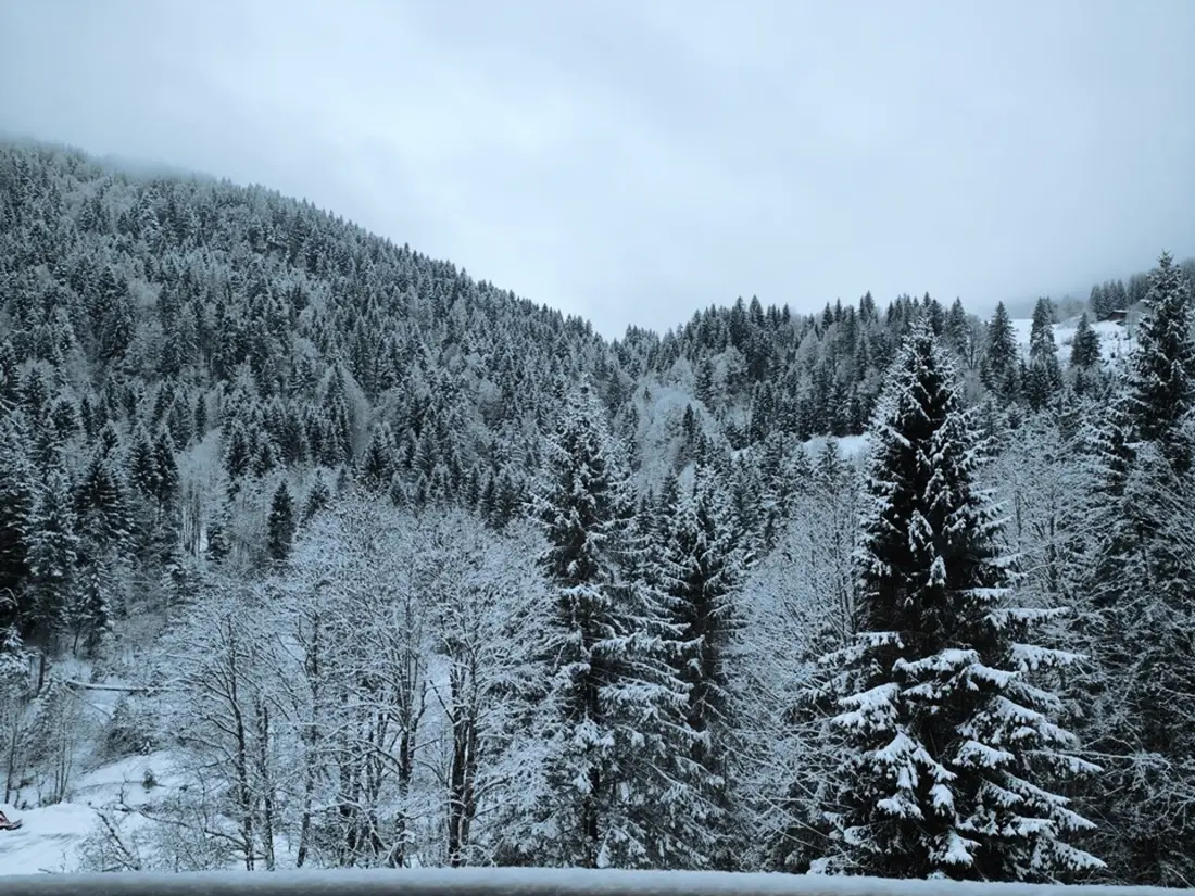 Location de Vacances Morzine 310
