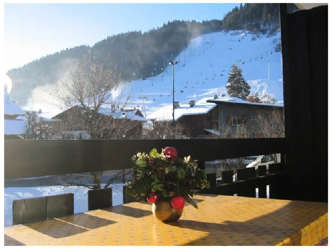 Location de Vacances Morzine 75