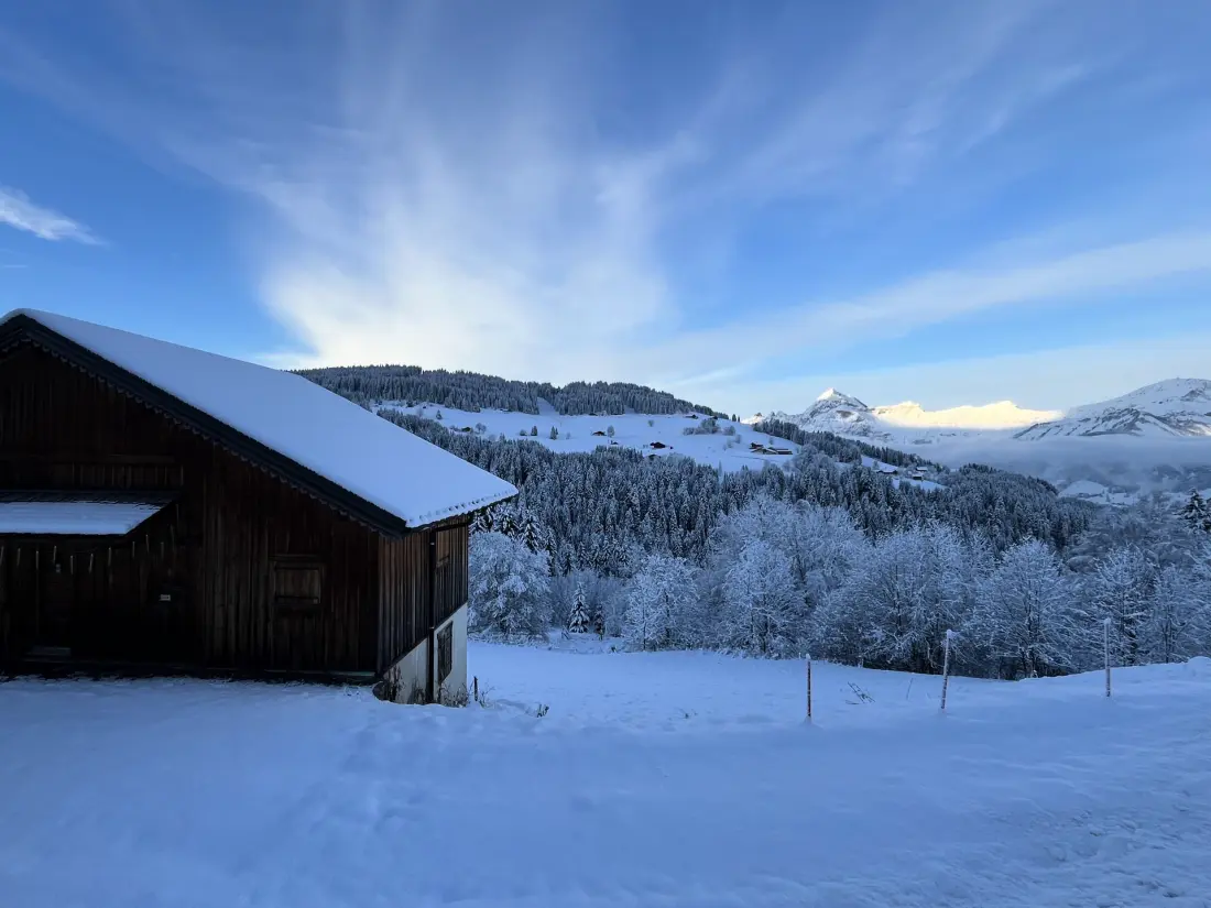 Résidence La Ferme Des Frasses