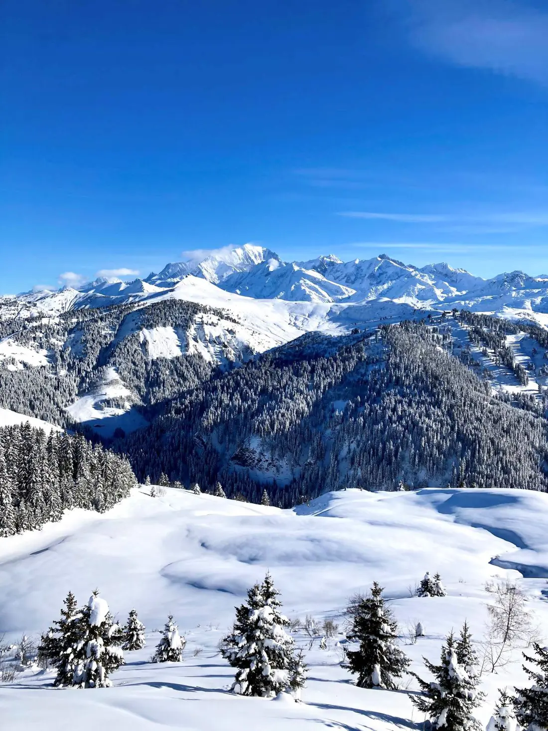 Résidence Le Champs Sous Jerome